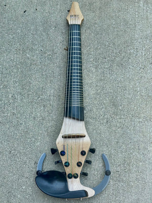 6 String Fretted Dragonfly PRO