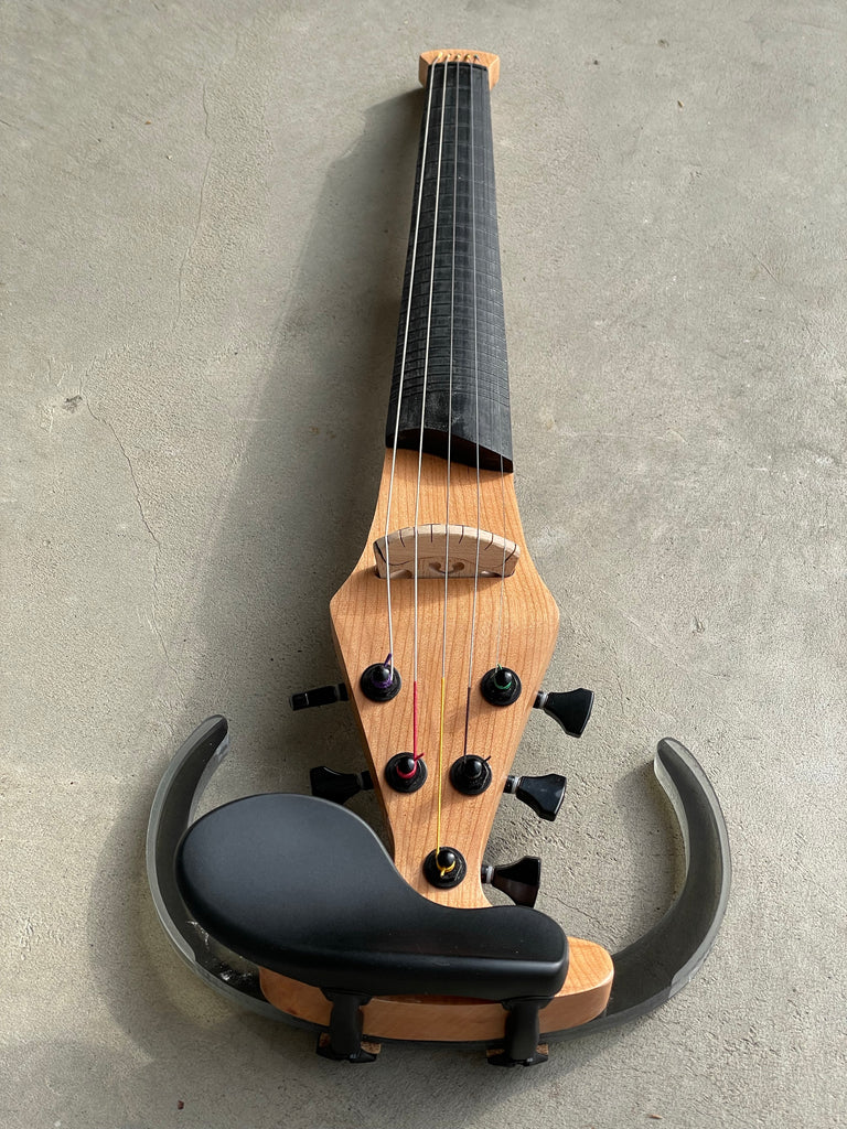 5 String Dragonfly Fretted - Barbera Pickup