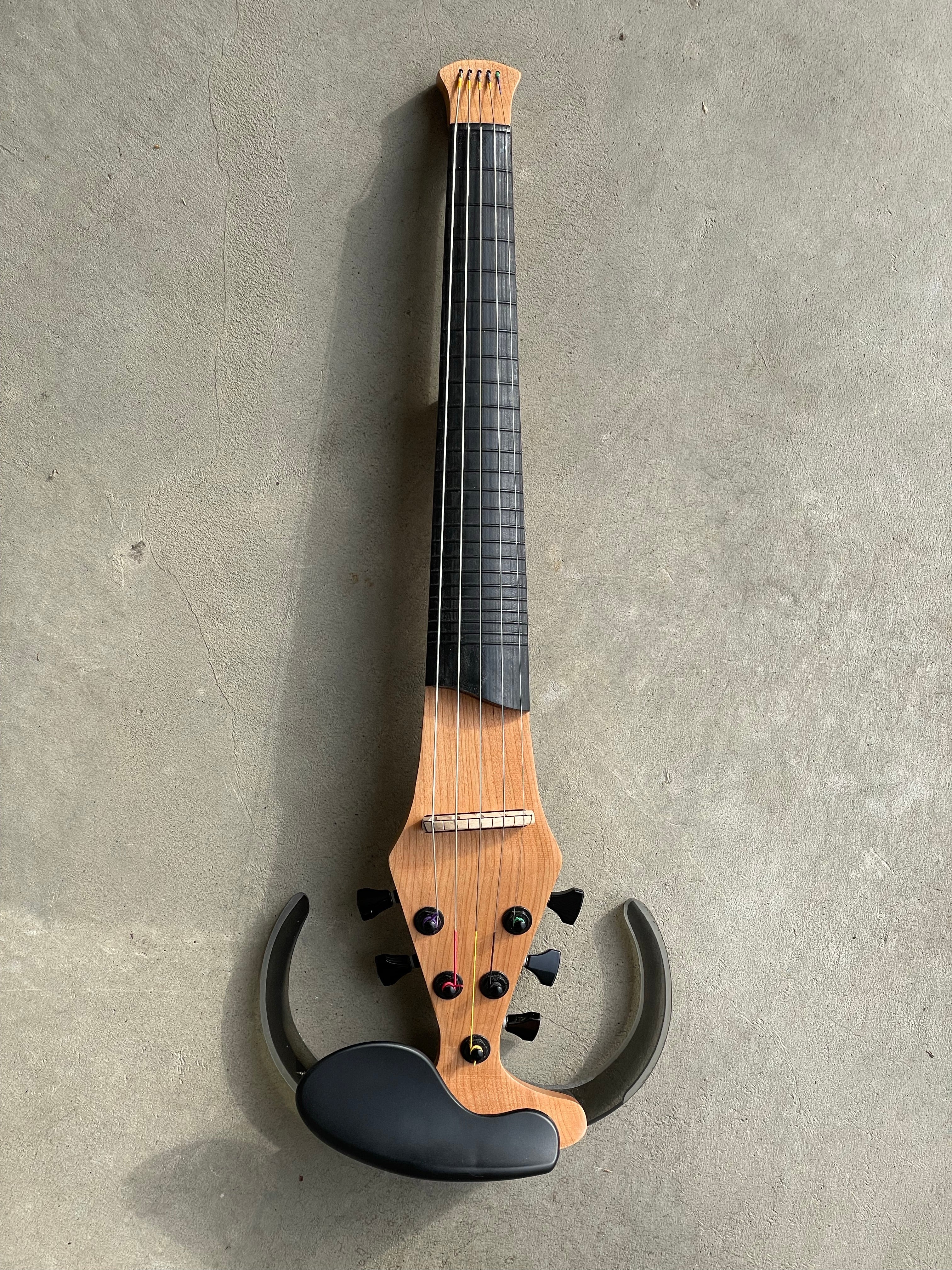 5 String Dragonfly Fretted - Barbera Pickup